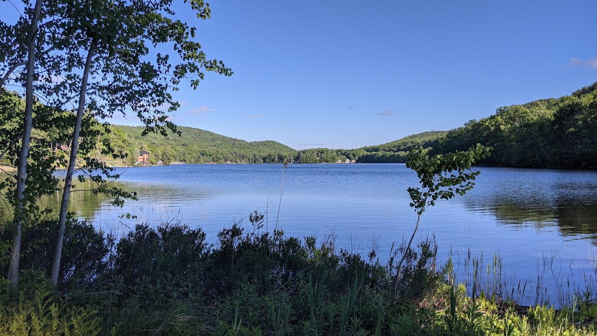 Berkshire Lakeside Lodge photo 3