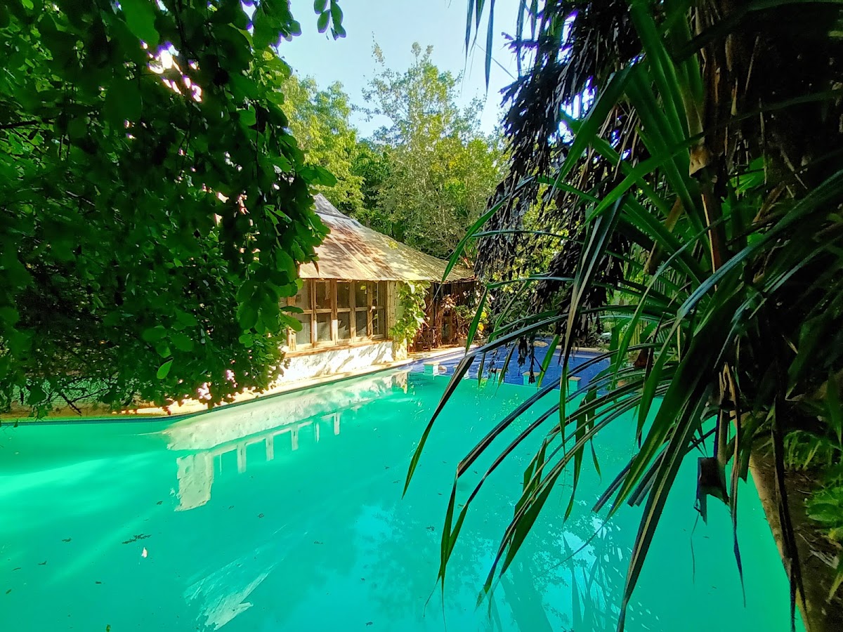 JUNGLE LODGE CANCUN photo 3
