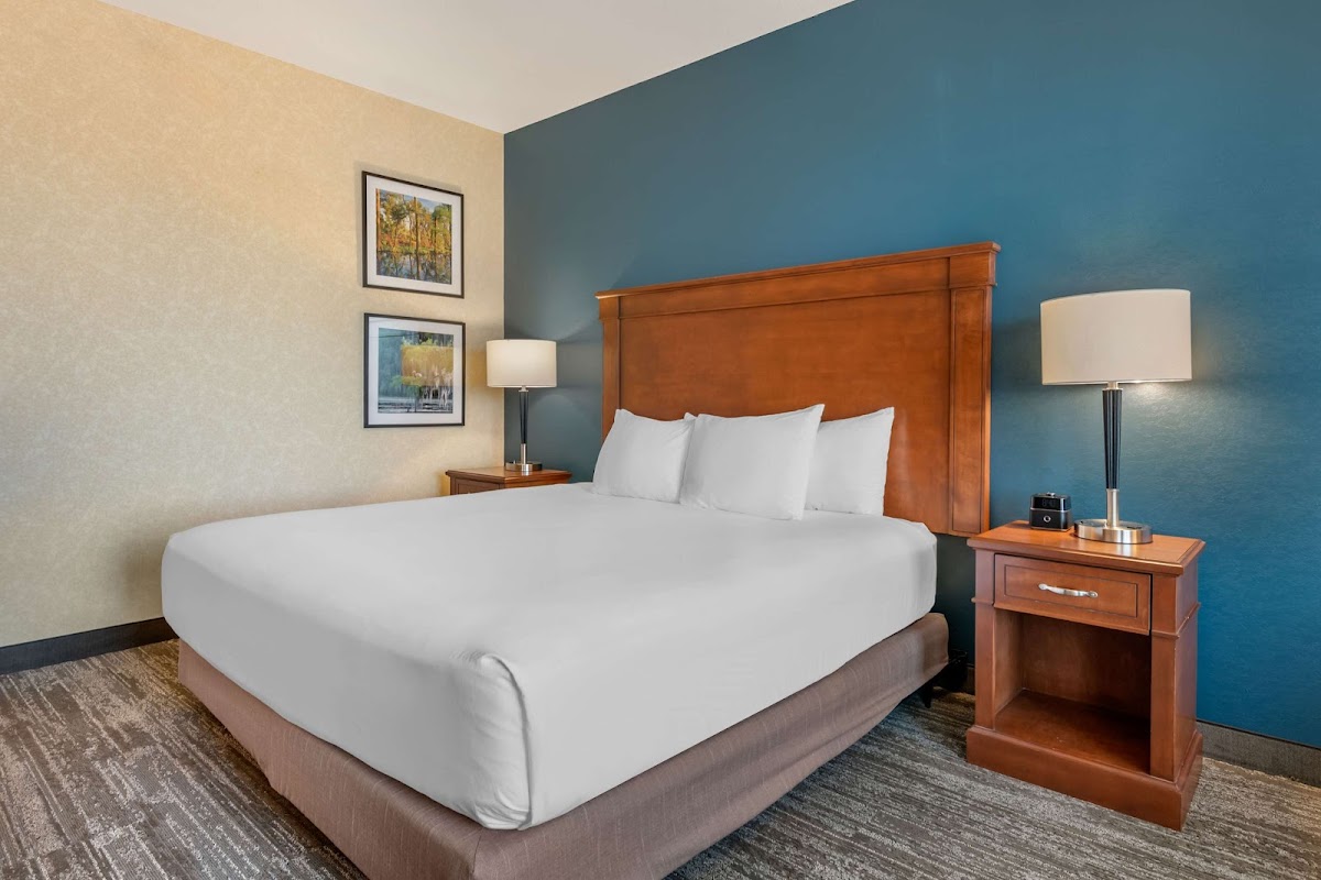 Drury Plaza Hotel Valdosta photo 3