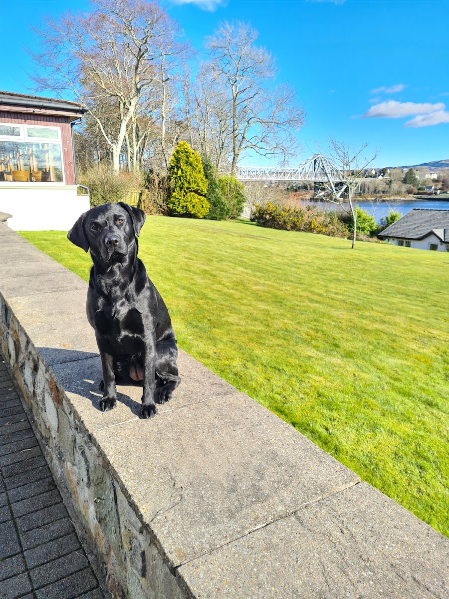 Lochnell Arms Hotel photo 2