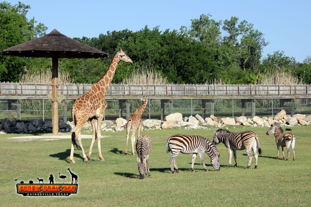 Frank Buck Zoo