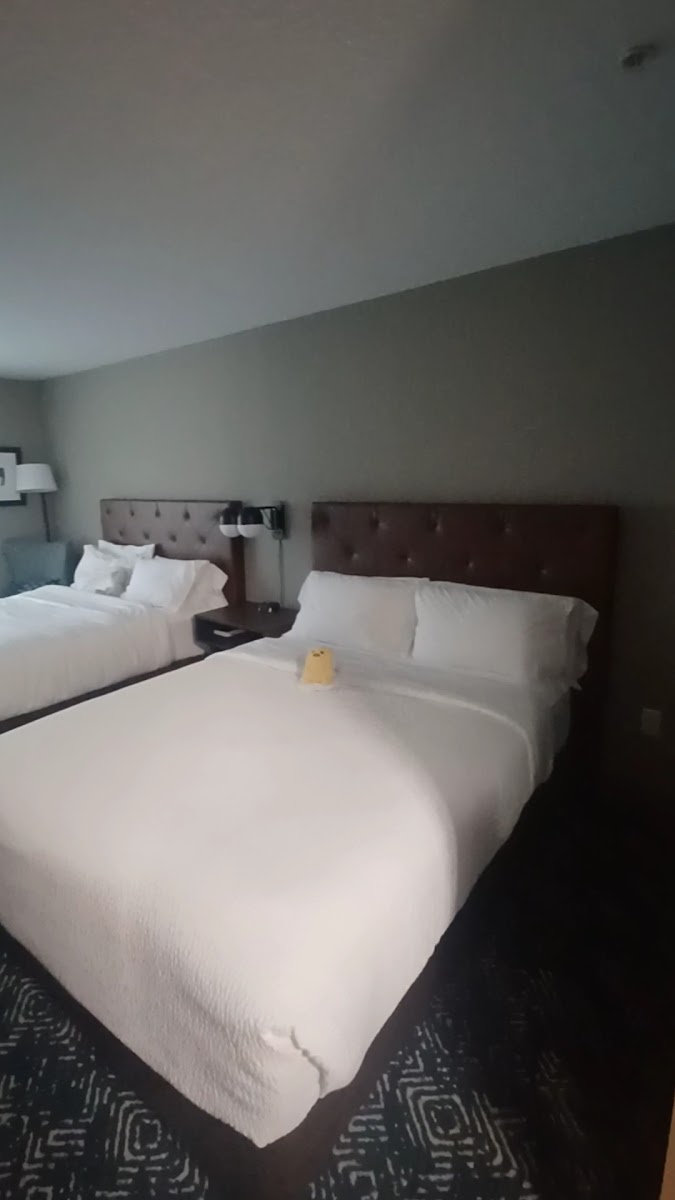 Four Points by Sheraton Jacksonville Baymeadows photo 2