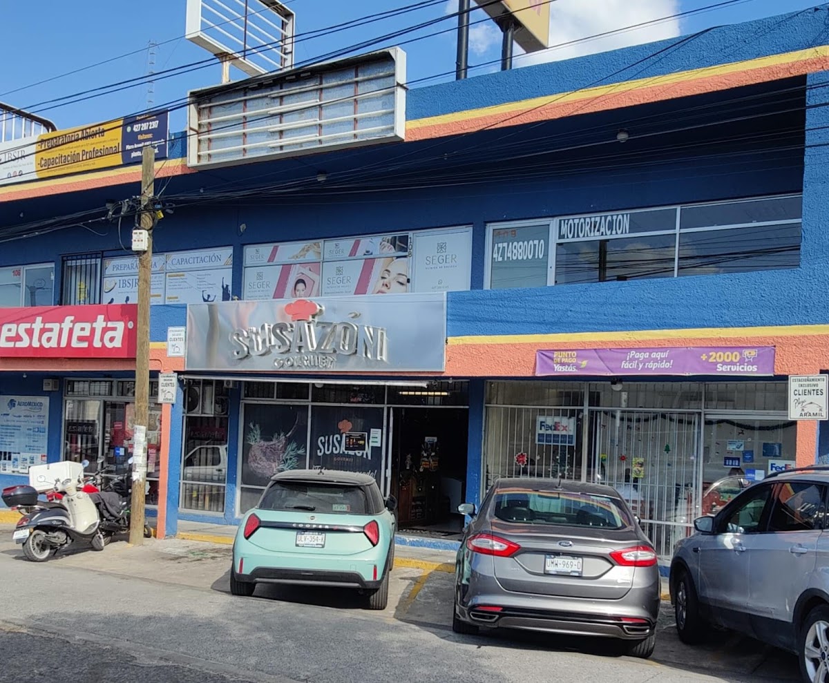 Clinica De Belleza Seger San Juan
