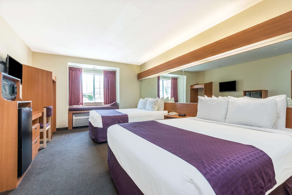 Microtel Inn & Suites by Wyndham Auburn photo 2