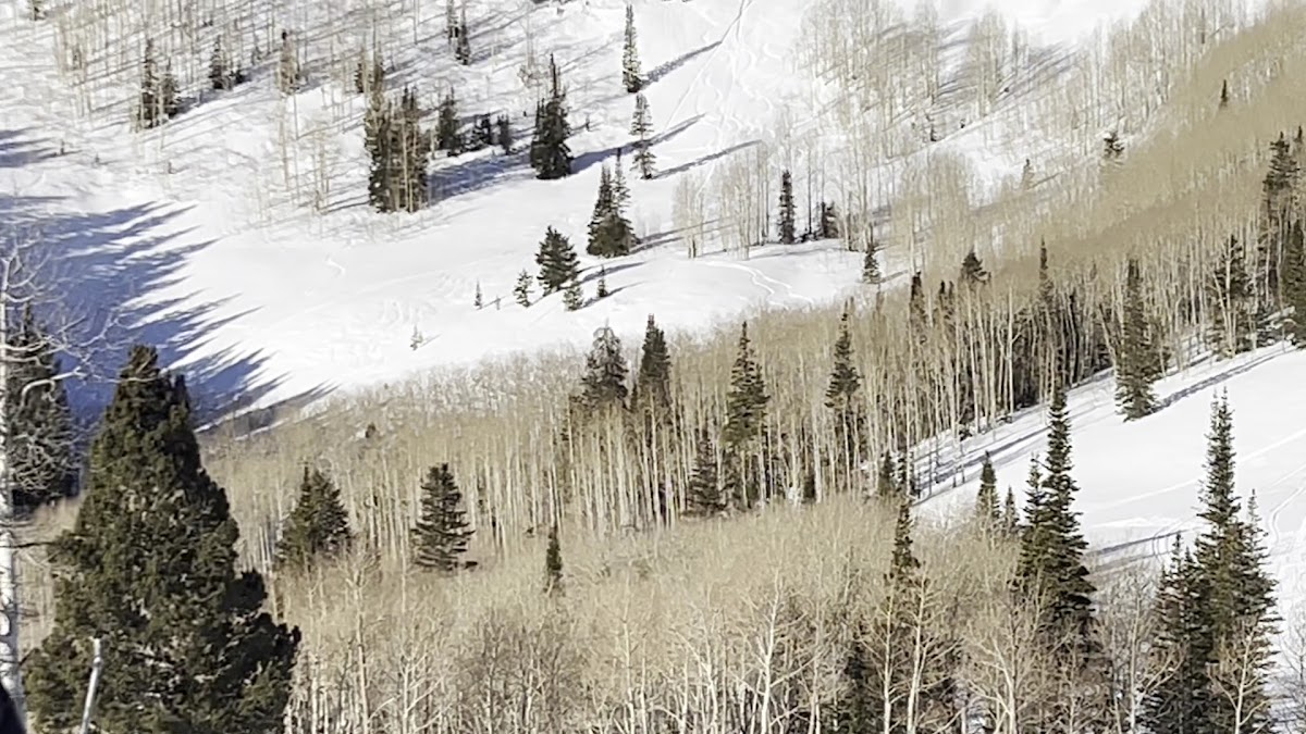 Park City Mountain photo 2