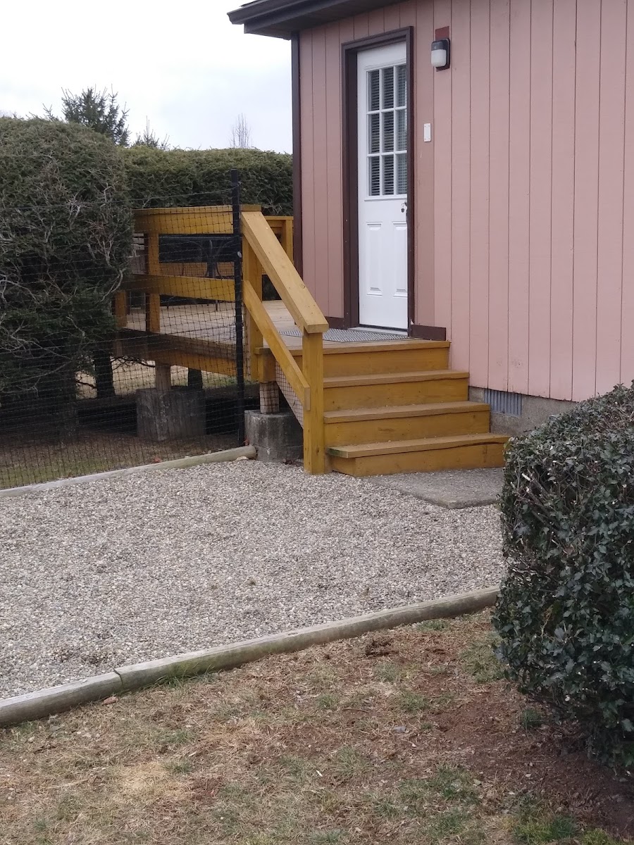 Big Valley Resort-Apache photo 3
