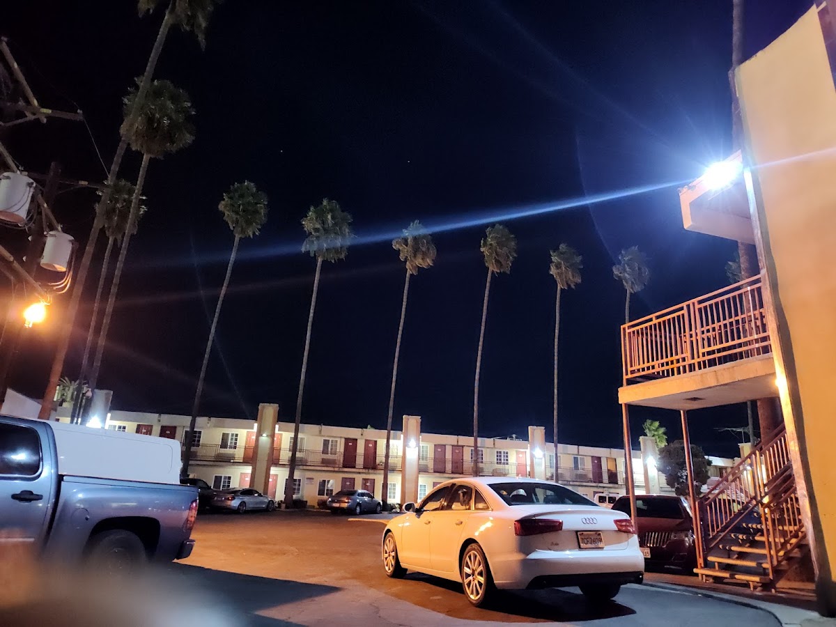 Palm Tree Inn photo 2