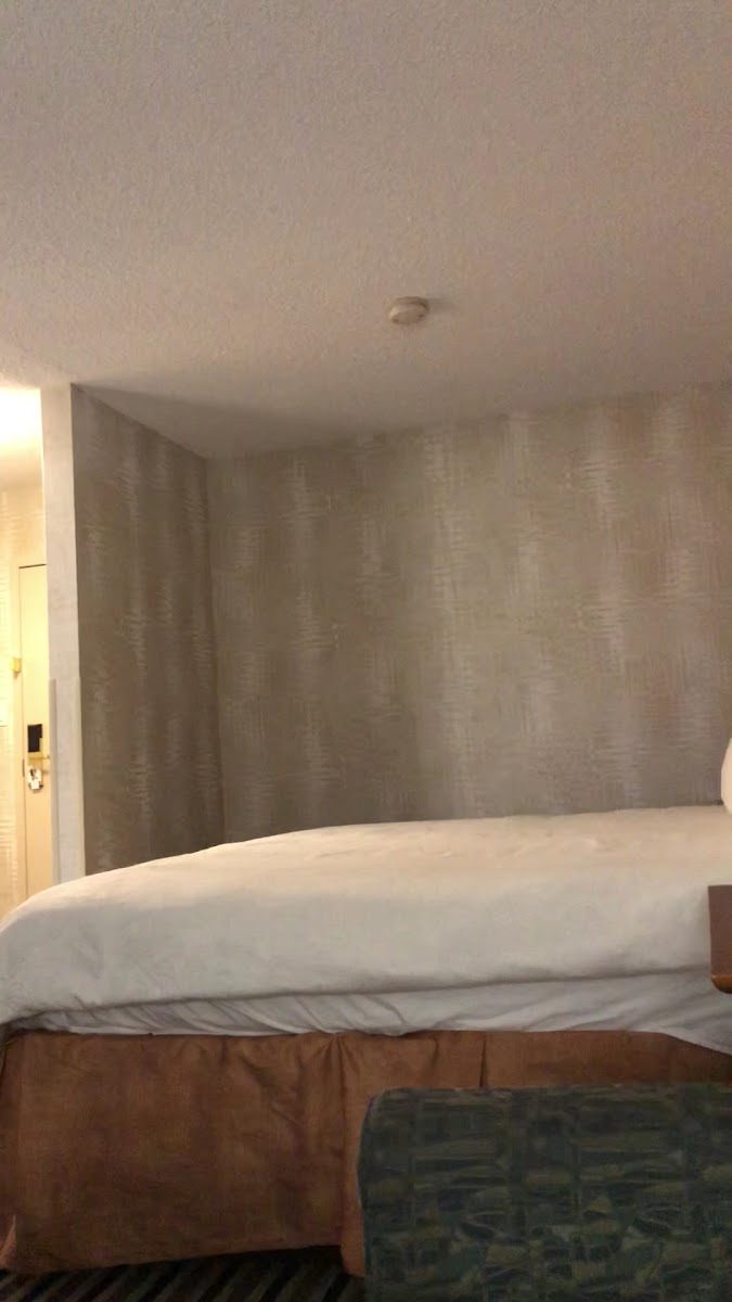 Best Western Plus Suites Downtown photo 2