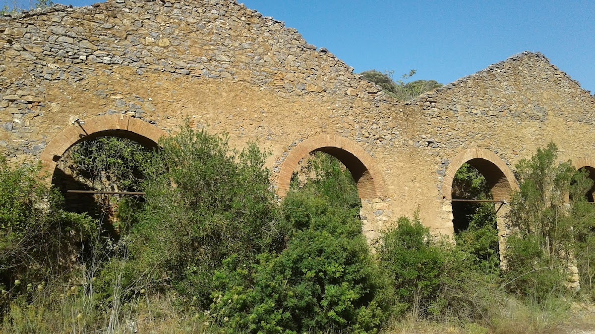 Foresta di Marganai