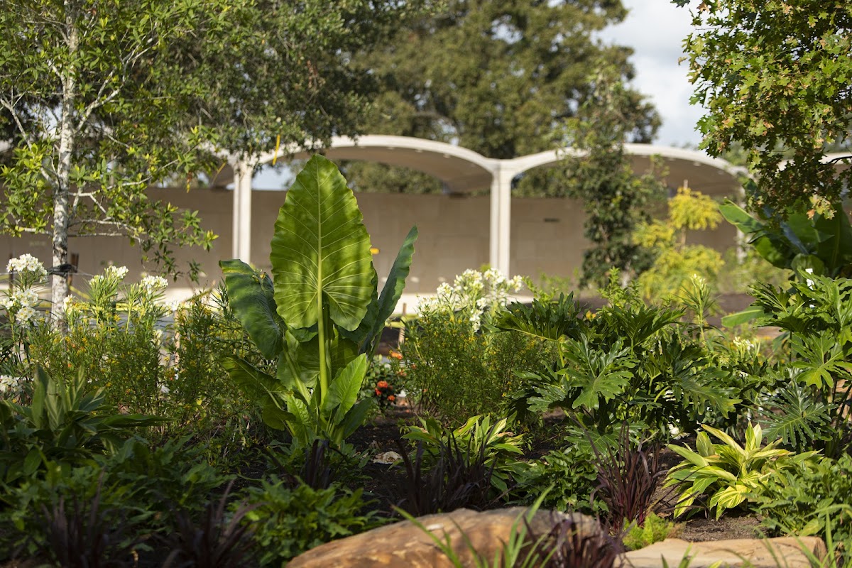 Houston Botanic Garden