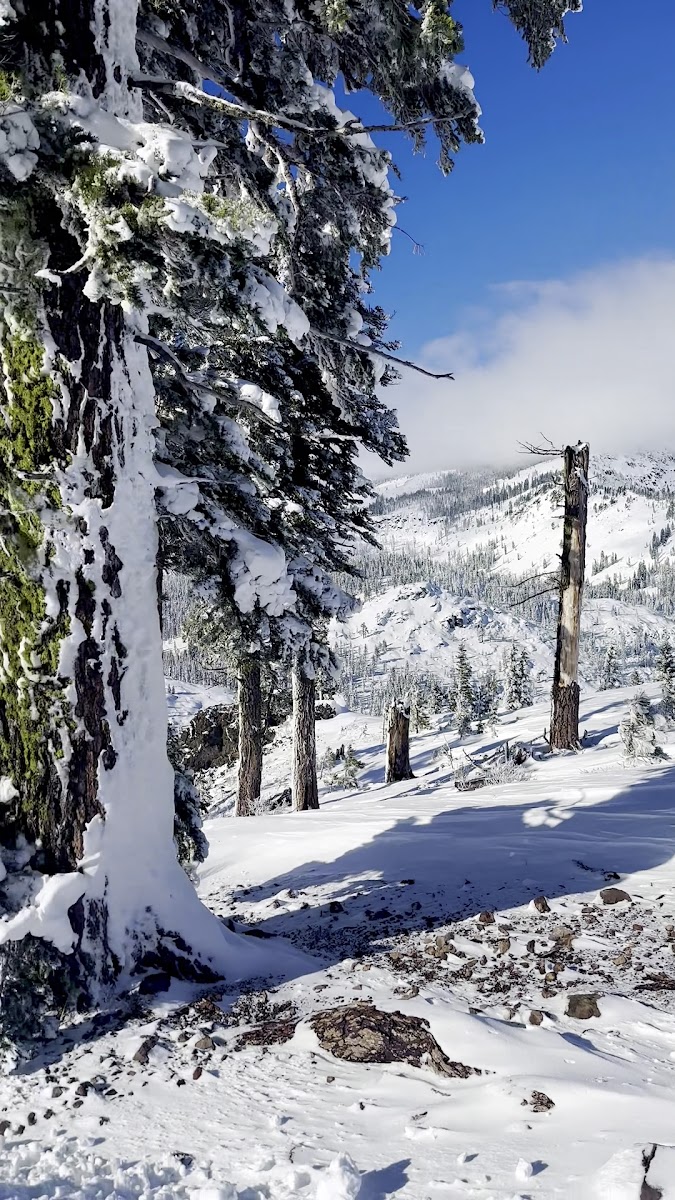 Alder Creek Adventure Center photo 2