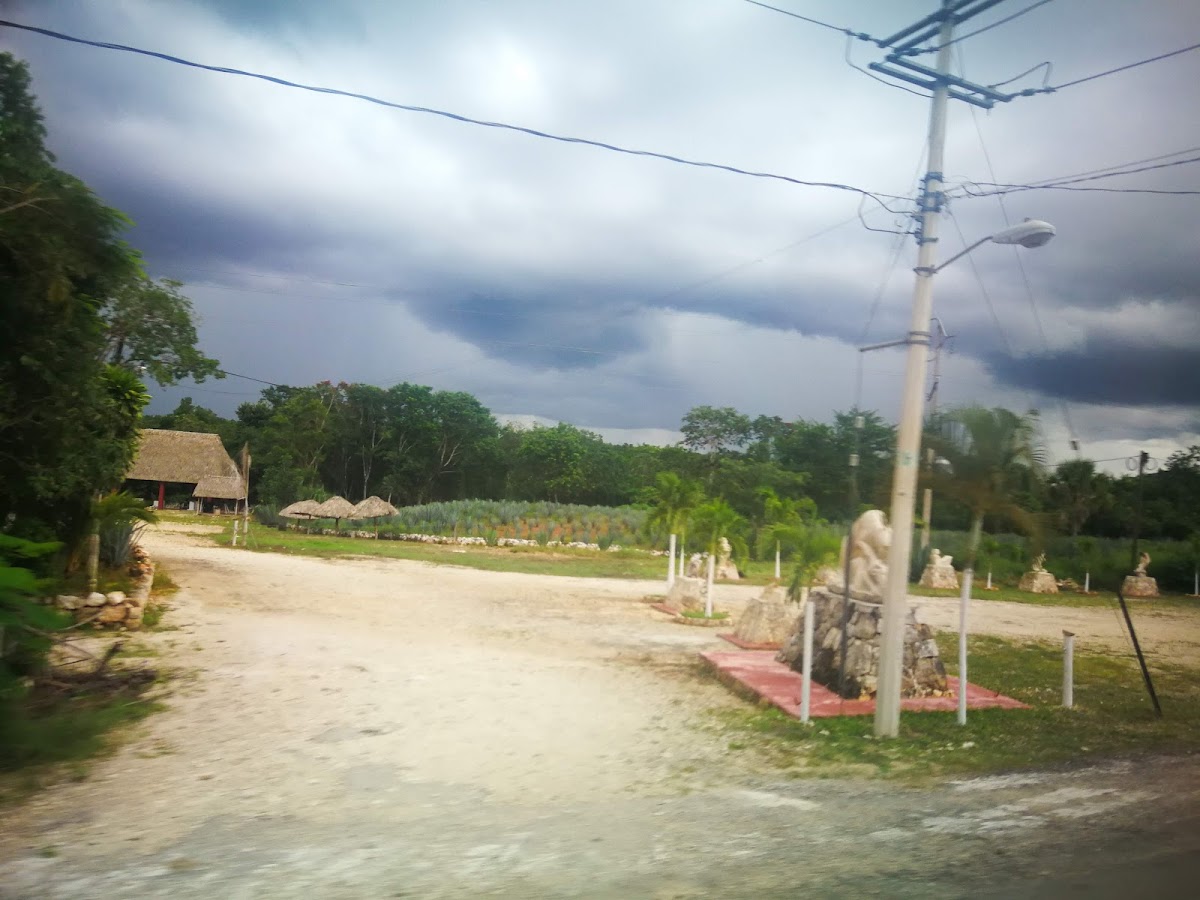 Piste-chichen Itza photo 3