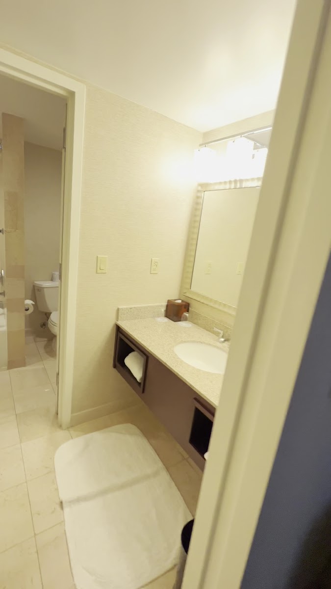 Washington Dulles Marriott Suites photo 2