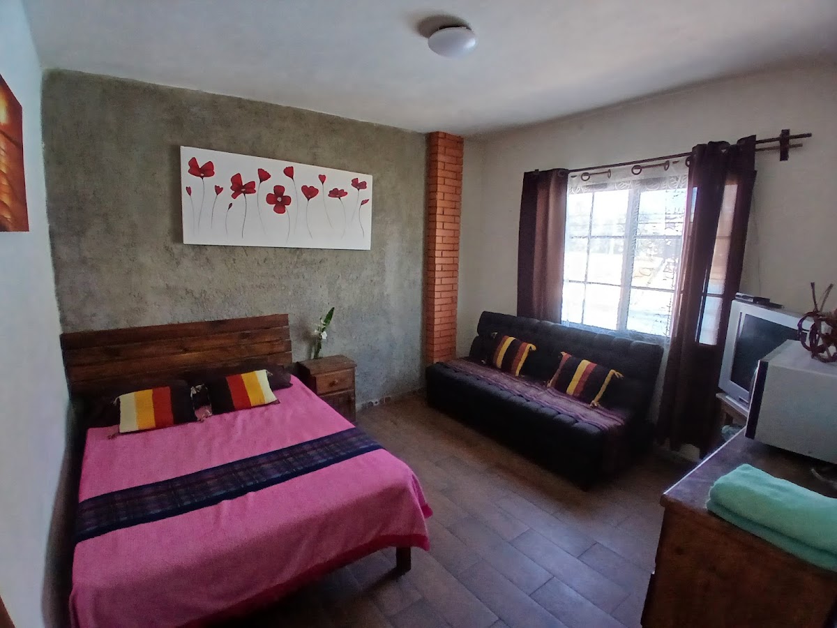 Posada Casa Live-Lula photo 3