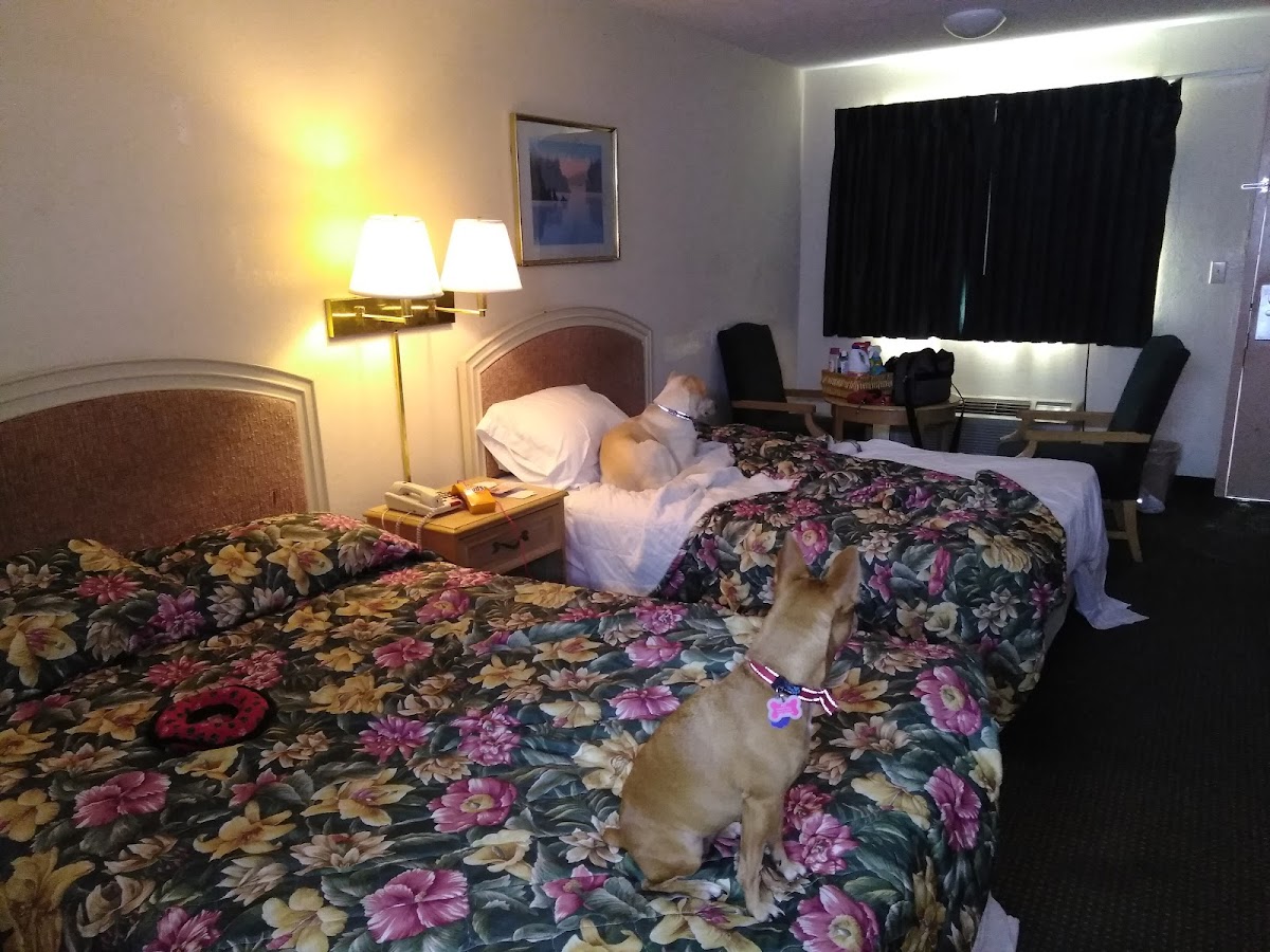 Western Inn Butler Alabama photo 2