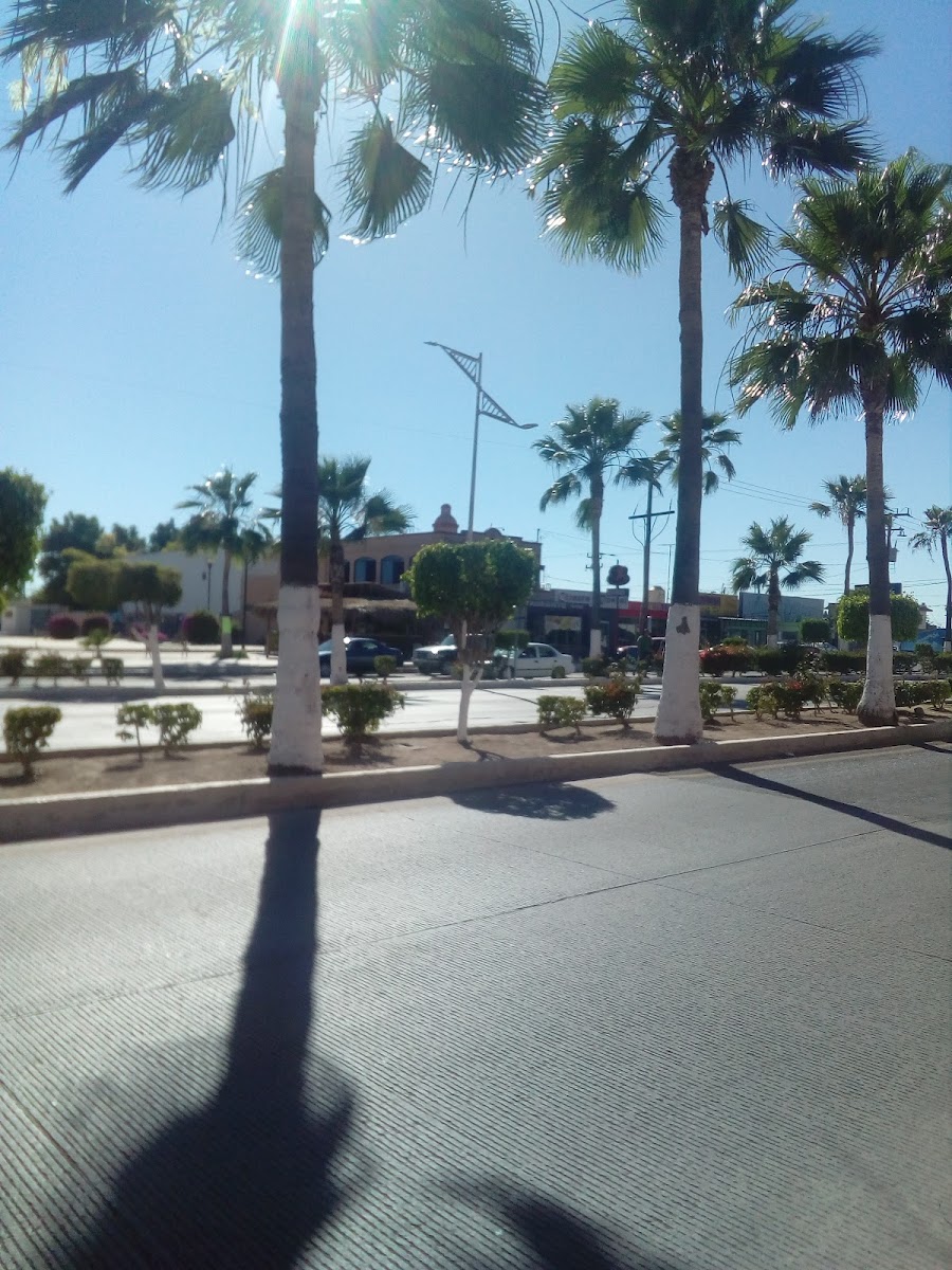 Hotel El Conquistador photo 3