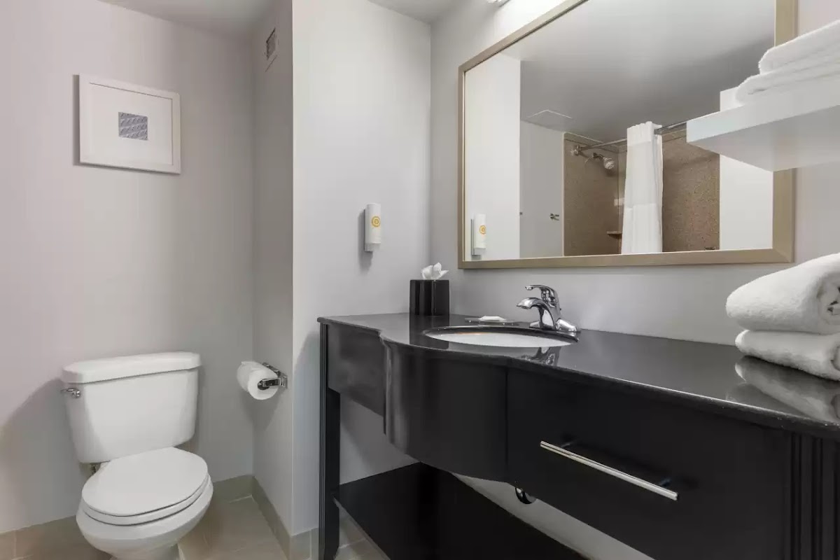 Comfort Inn Plano-Dallas photo 3