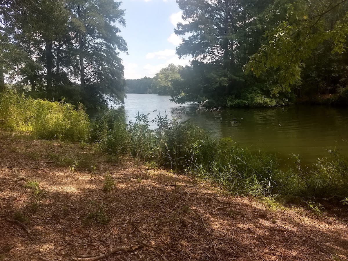 The Southern Pines Cottages Callaway Resorts & Gardens photo 2
