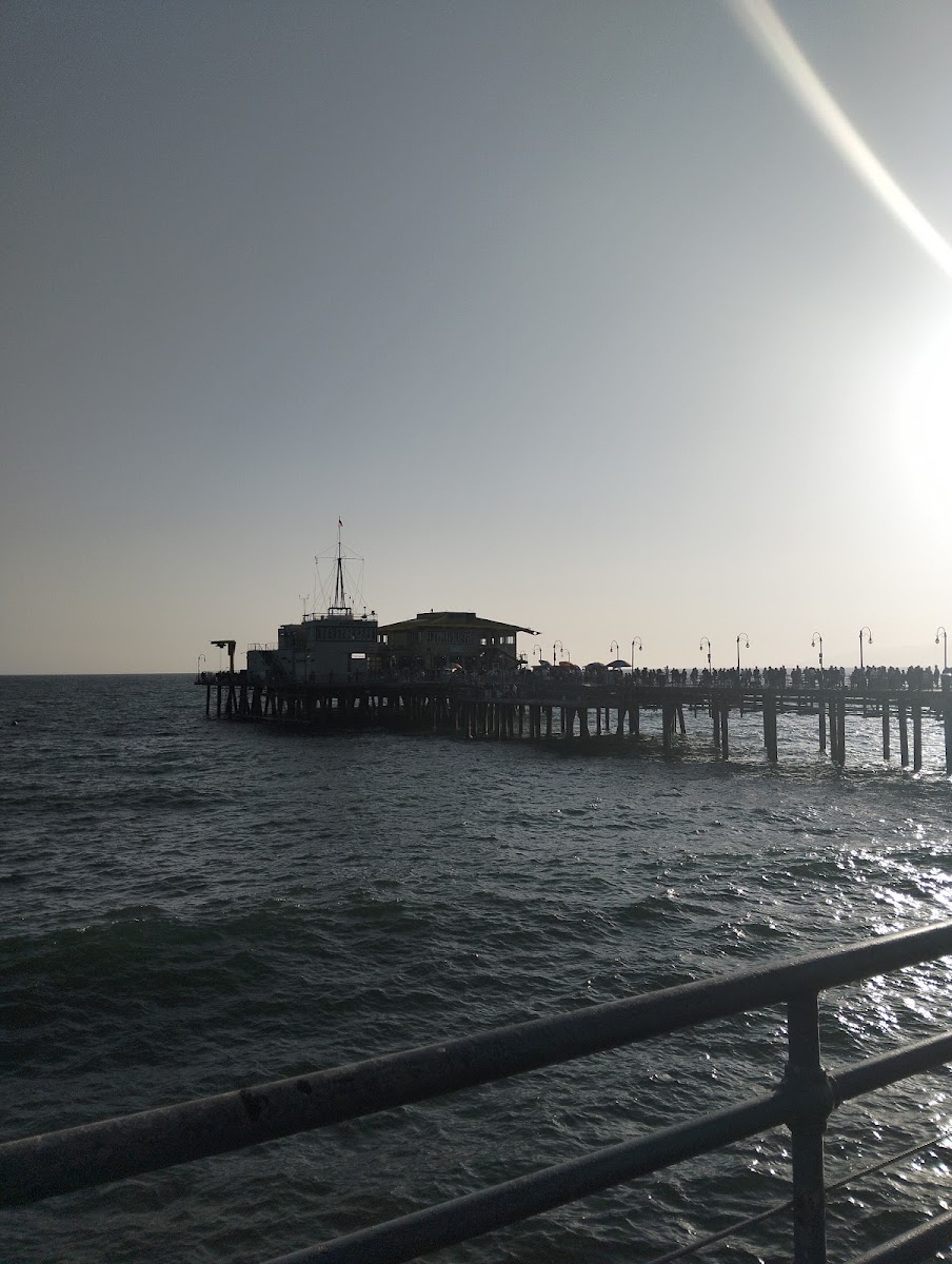 Los Angeles Cozy Vibe photo 3