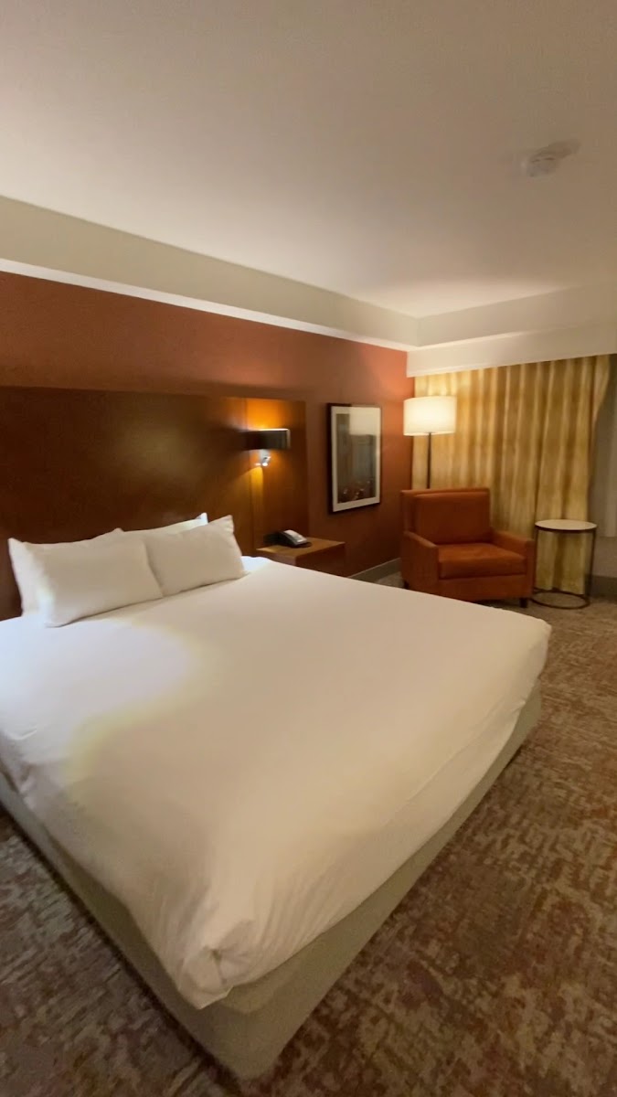 DoubleTree by Hilton Hotel San Francisco Airport photo 2