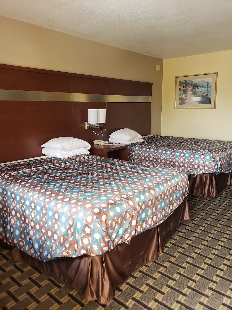 Taylor Village Inn and Suites photo 2