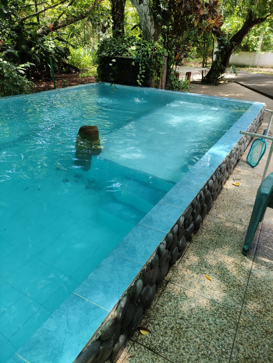 Villas Monte Pio photo 3