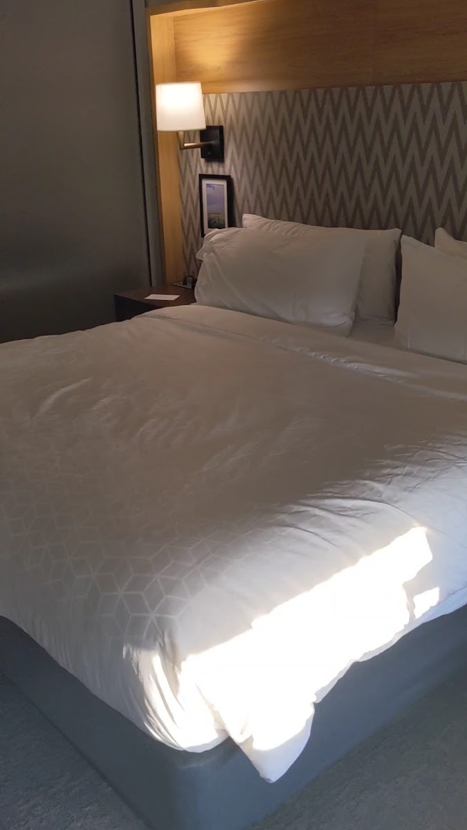 Holiday Inn & Suites Hopkinsville - Convention Ctr by IHG photo 2