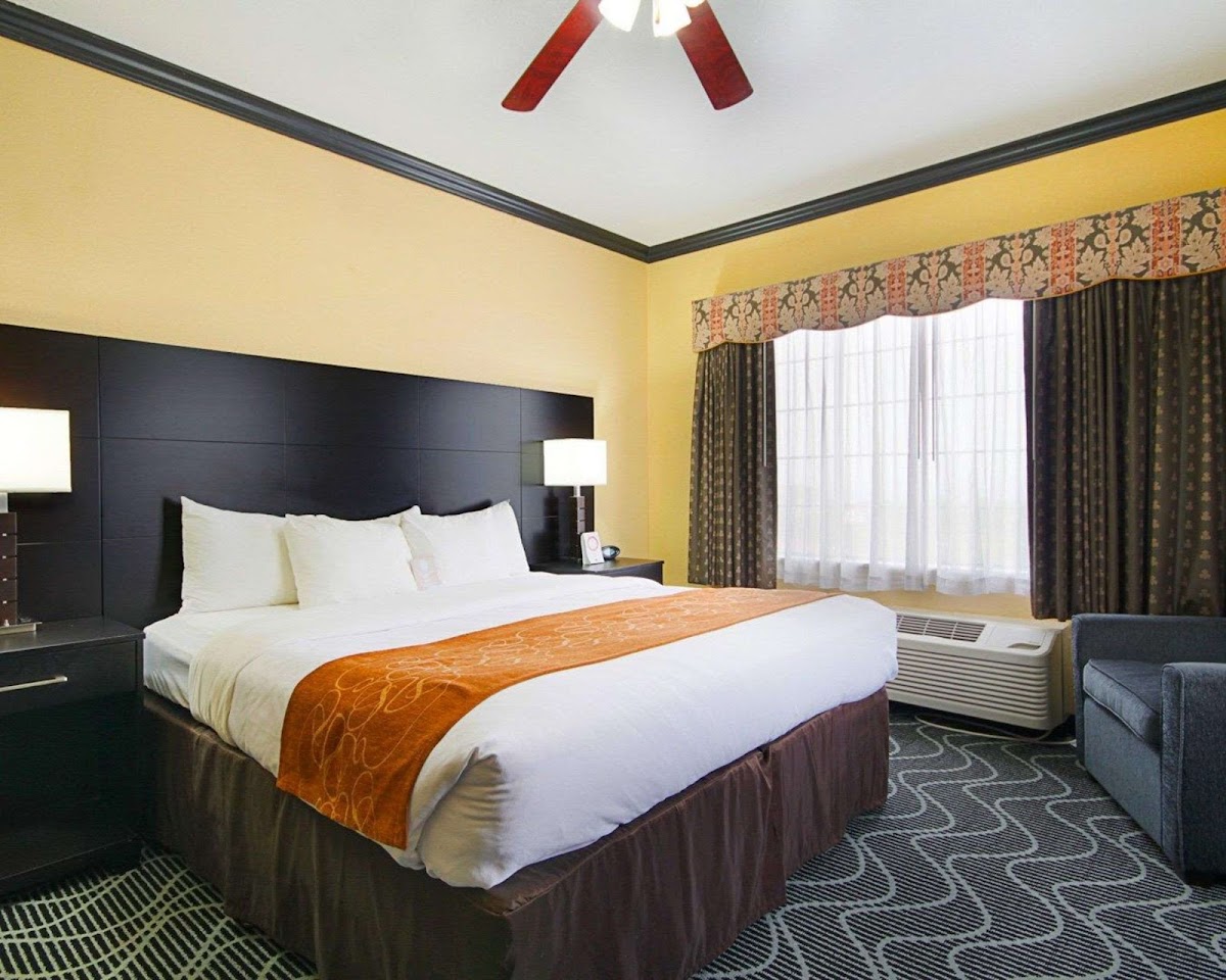 Comfort Suites Lake Ray Hubbard photo 2