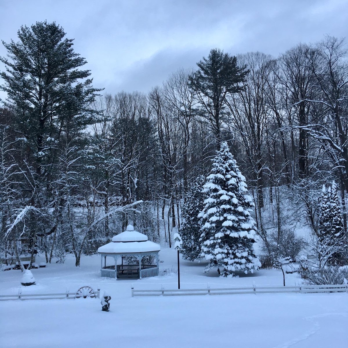 The Arlington Inn & Spa photo 3