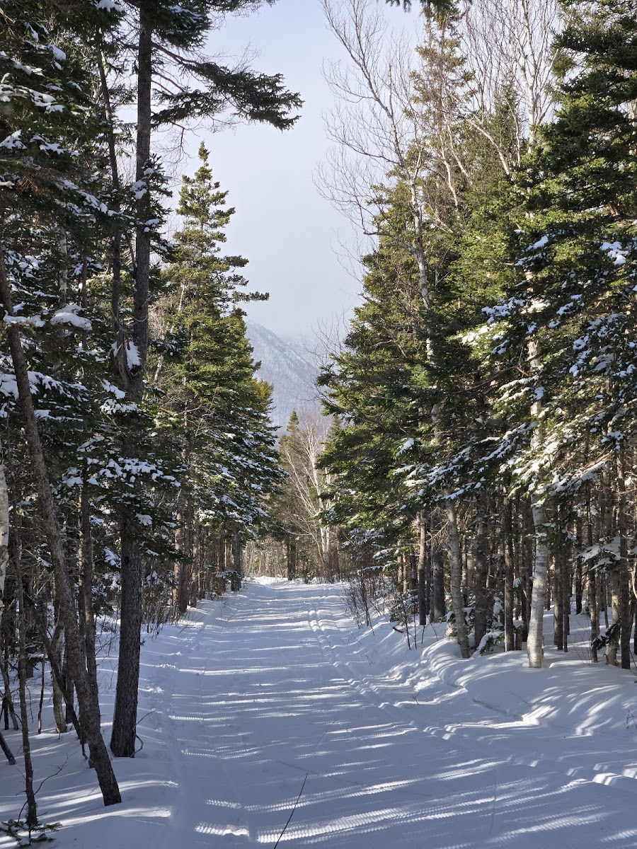 North Highlands Nordic