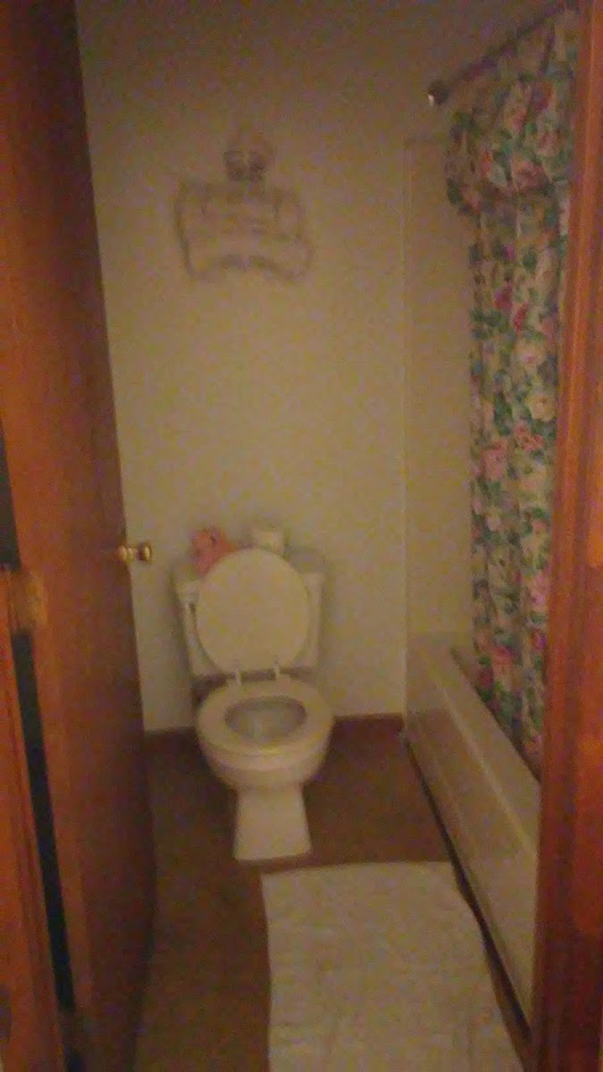 Room 5