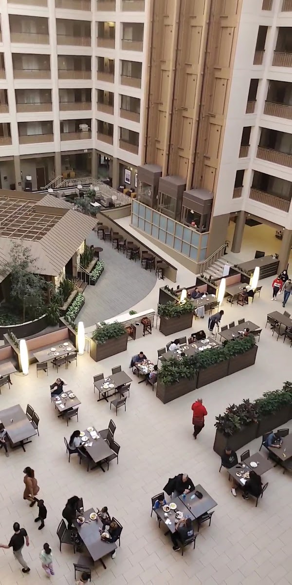 Embassy Suites by Hilton Chicago North Shore Deerfield photo 2