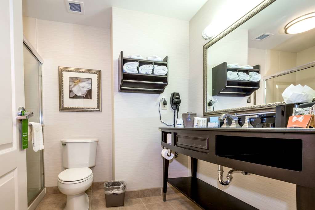Hampton Inn & Suites Montgomery-Downtown photo 3