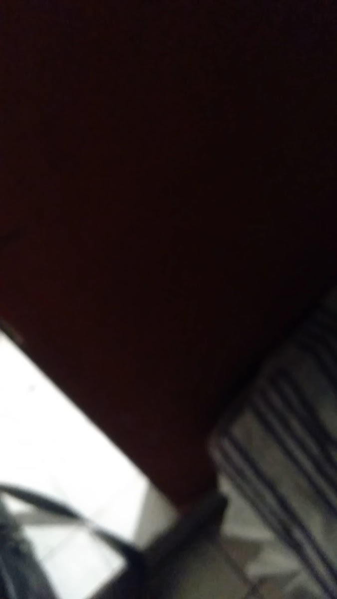 Hotel Geni photo 2