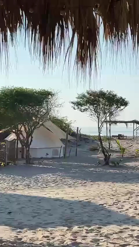 Casa Gitana photo 2