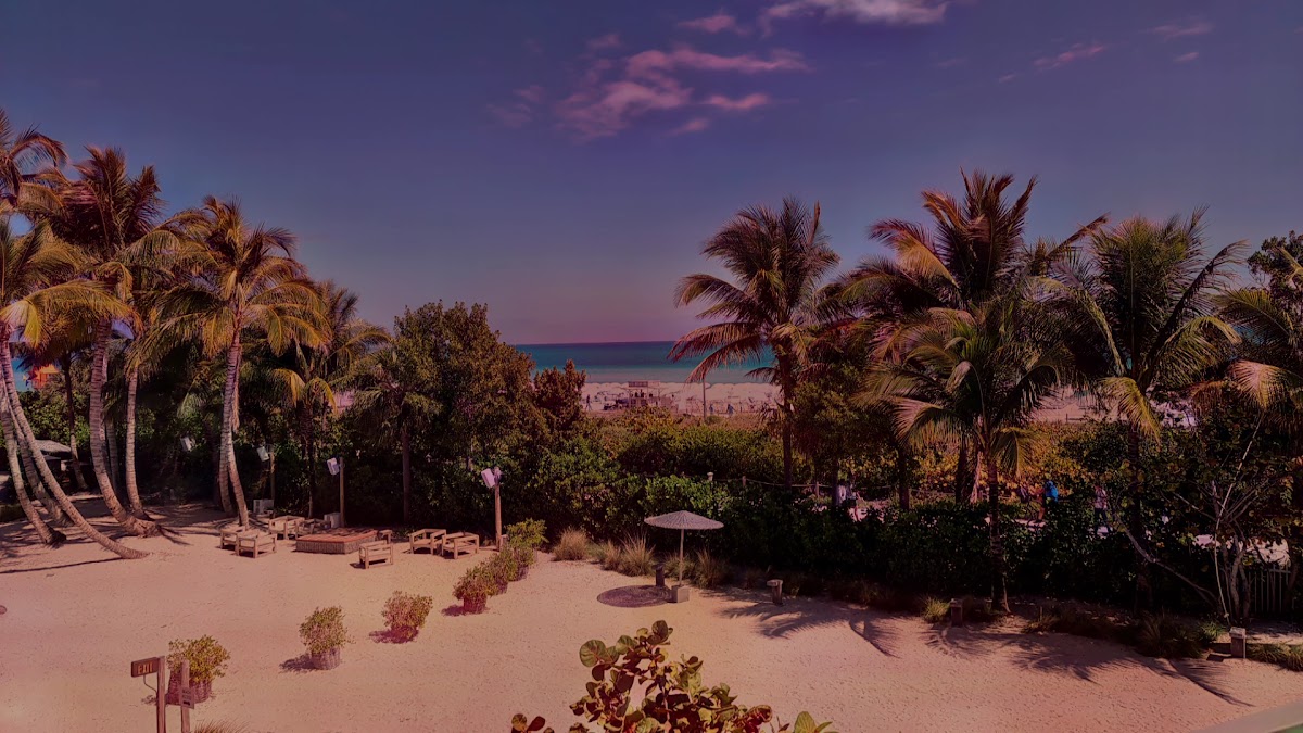 1 Hotel South Beach photo 2