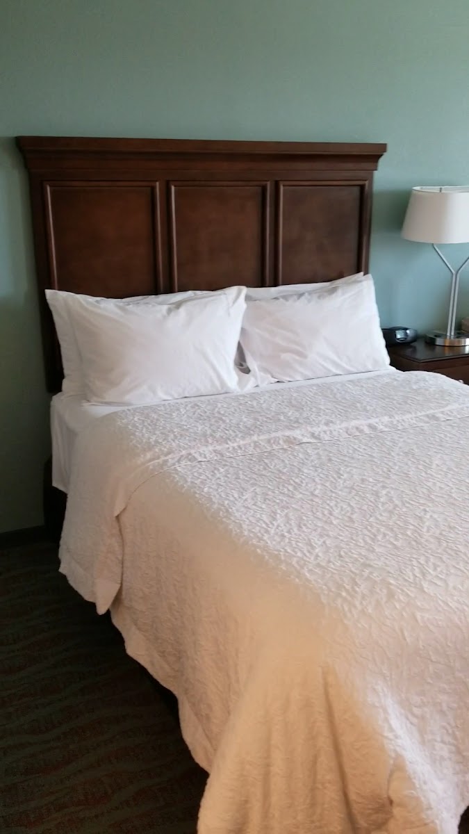 Hampton Inn & Suites Gulfport I-10 photo 2
