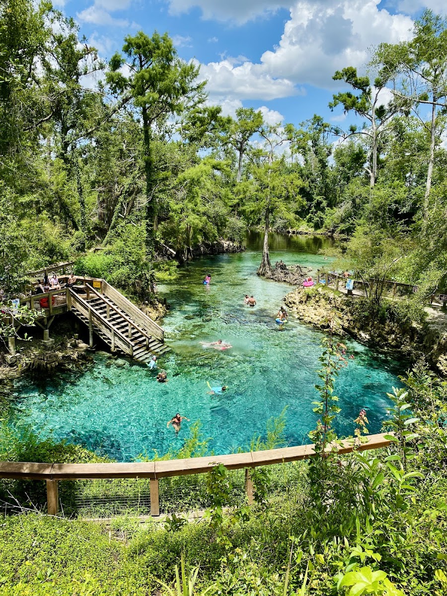 Madison Blue Spring State Park