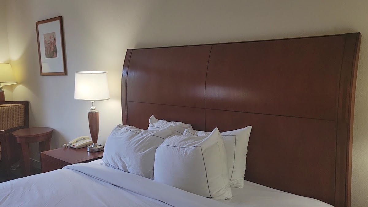 Hilton Garden Inn Shreveport photo 2