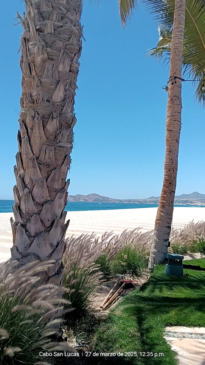 Zoëtry Casa del Mar Los Cabos photo 2