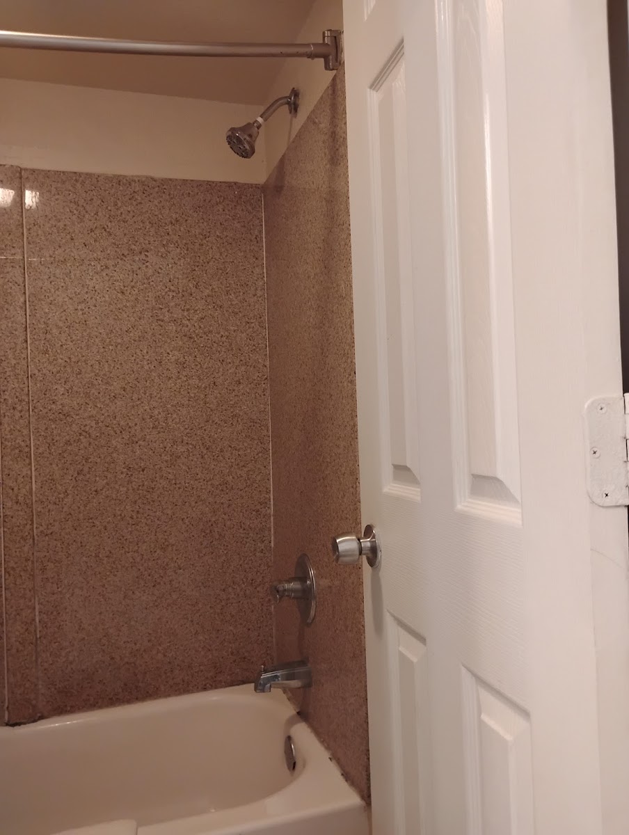 Room 8