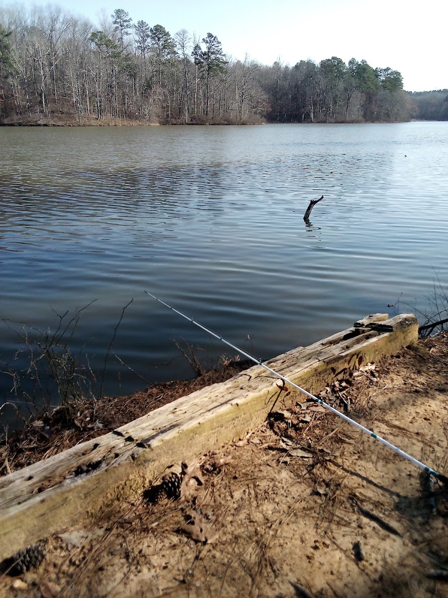 Sulligent Lake