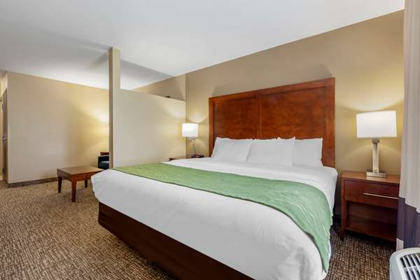 Comfort Inn Plover-Stevens Point photo 2