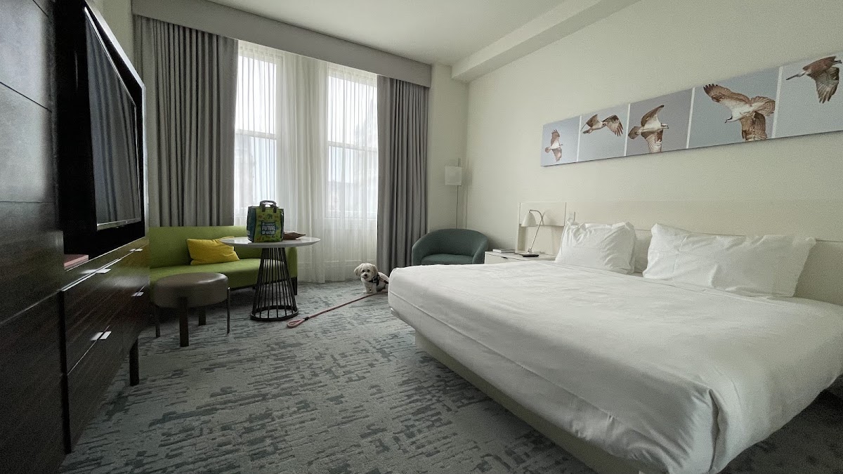 21c Museum Hotel Lexington photo 3