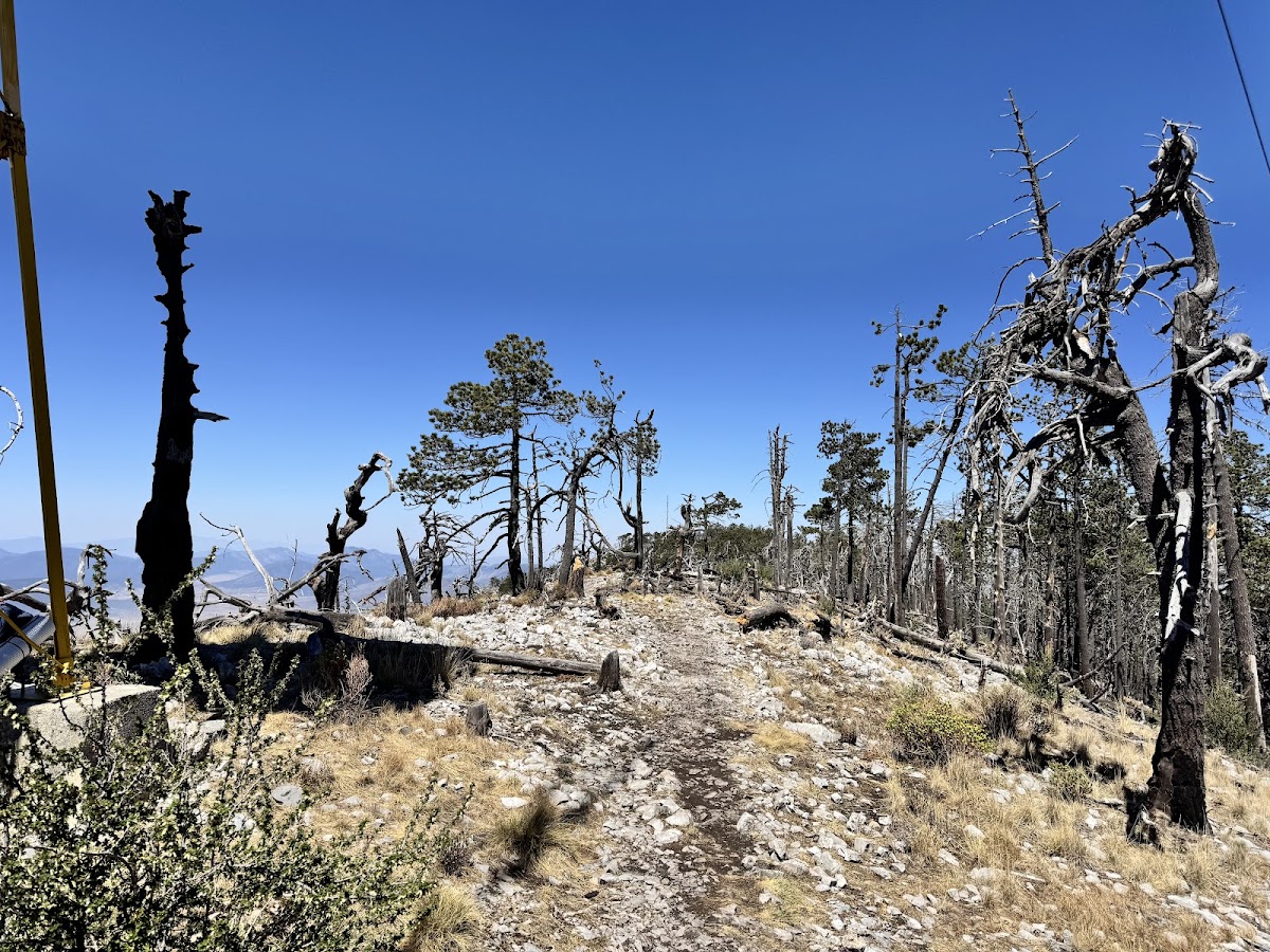 Cerro de la Viga