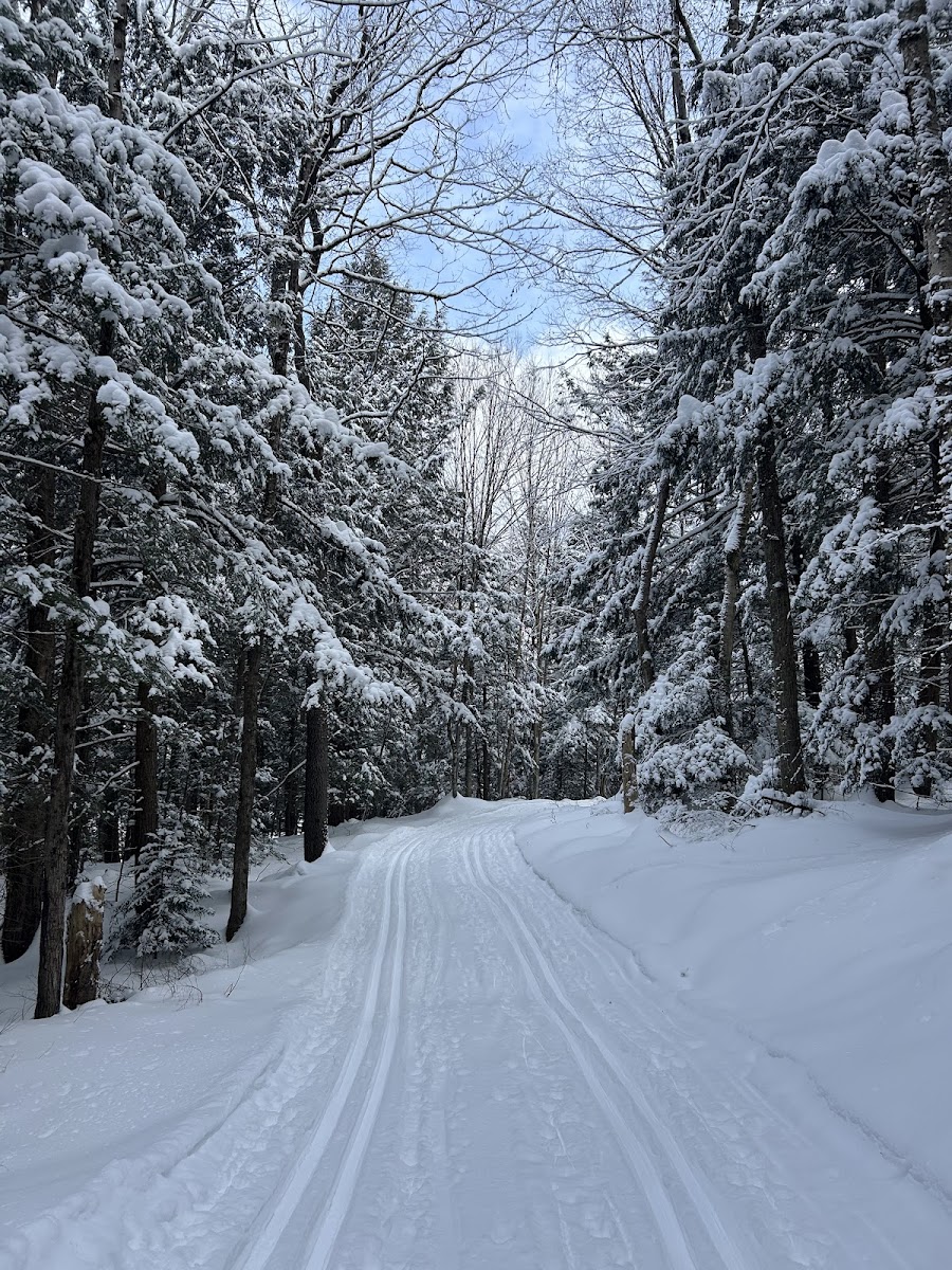 Pineridge Cross Country Ski Area