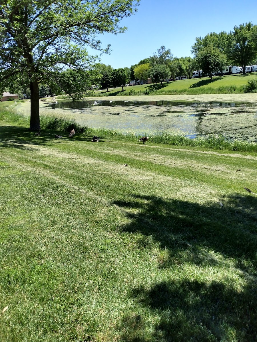 Cutty's Okoboji Resort photo 3