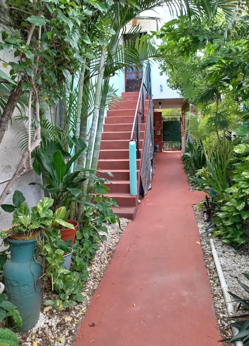 Cuartos Kiky Stil