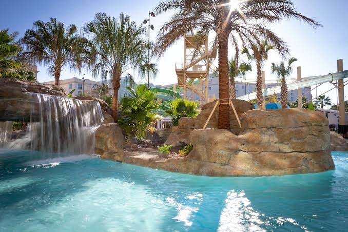 Gaylord Palms Resort & Convention Center photo 2