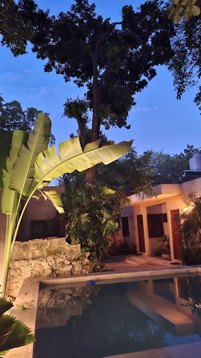 Casa Canul